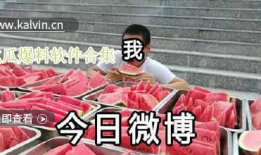 吃瓜群众视频爆料大全最新,最新热门事件一网打尽
