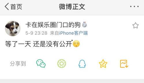 17Cn吃瓜呱呱爆料,揭秘娱乐圈最新热点事件